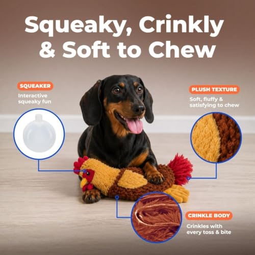 Interactive Squeaky Dog Toy (Crinkle Chicken (Wine Red) / Large)