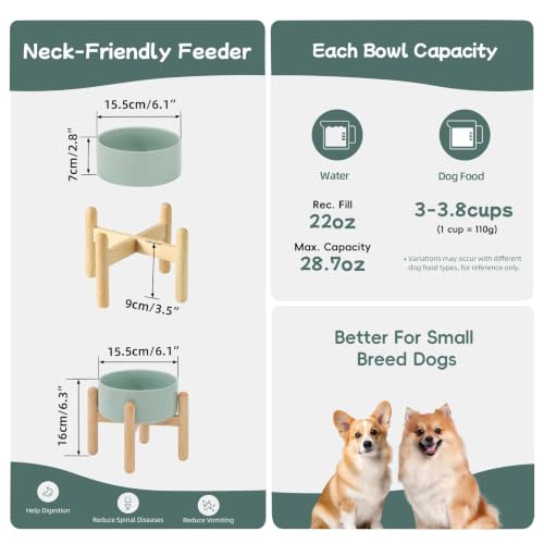 Ceramic Dog Bowls Elevated (Light Green)