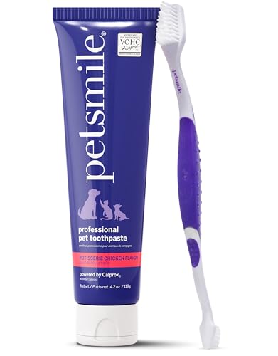 Teeth Brushing Kit (4.2 Ounce (Pack of 1))