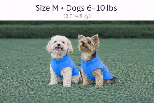 Dog Fleece Vest Sweater with Leash Ring (M (6-10lbs) / Blue)
