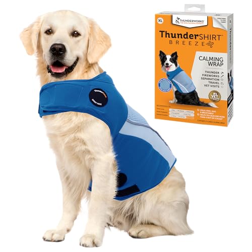 Breeze for Dogs Calming Anxiety Vest (Sky Blue / X-Large)