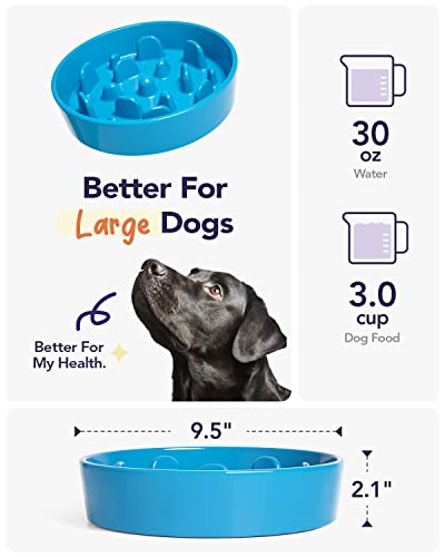 Slow Feeder Dog Bowls Ceramic (Vortex Blue / L-3 Cups)
