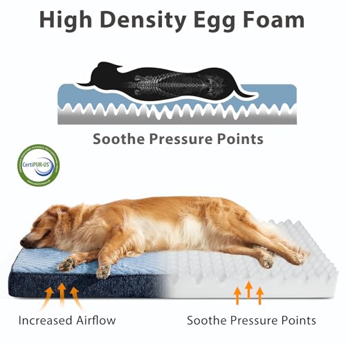 XL Dog Beds Large Sized Dog (XL(41"x27") / Blue)