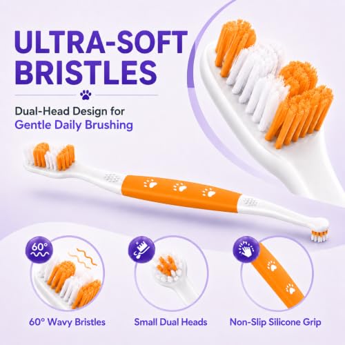 Dog Toothbrush (Orange / 1 Count (Pack of 6))