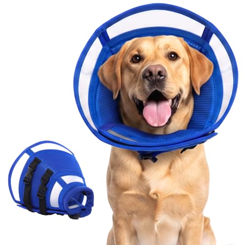 Soft Dog Recovery Cone Collar (Blue / XL(Neck Girth:16.5-21.7in))
