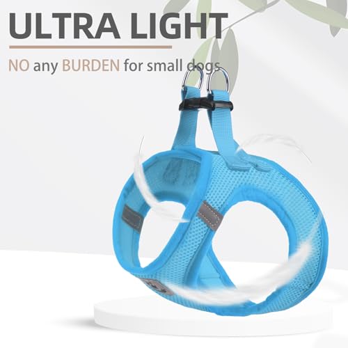 Dog Harness Collar and Leash Set No Pull for Small Medium Sized (Solid LightBlue / M (CHEST 16"-18"))