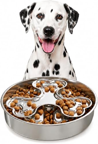 304 Stainless Steel Slow Feeder Dog Bowls (B: Silver)