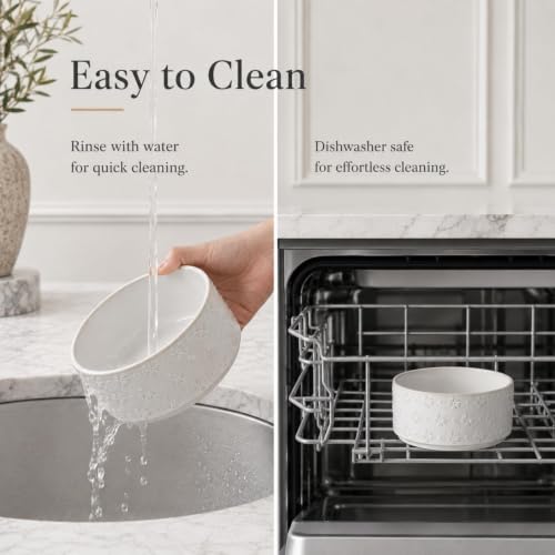 Elevated Dog Bowls (Double Bowls with Stand- Arctic White / 3.4CUPS)