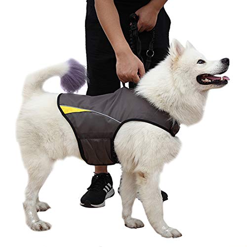 Dog Anxiety Jacket (Gery / Large)