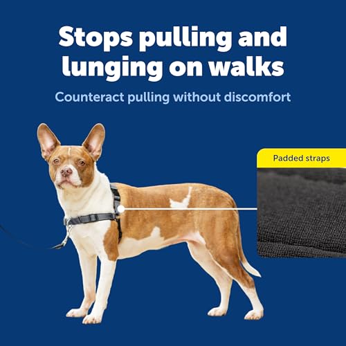 Easy Walk Deluxe Dog Harness (Medium / Steel)