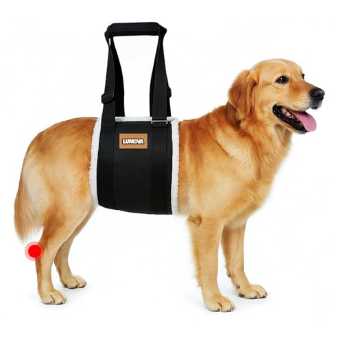 Dog Lift Harness (Small (S))