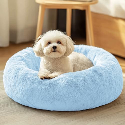 Dog & Cat Bed (23" / Light Blue)