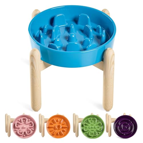 Ceramic Slow Feeder Dog Bowls Elevated (Vortex Blue+Stand / L-3 Cups)