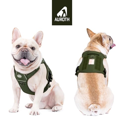 Dog Harness for Small Medium Dogs (Green - Deep Enrich / S(Neck:14-21",Chest:20-31"),18-35 lbs)