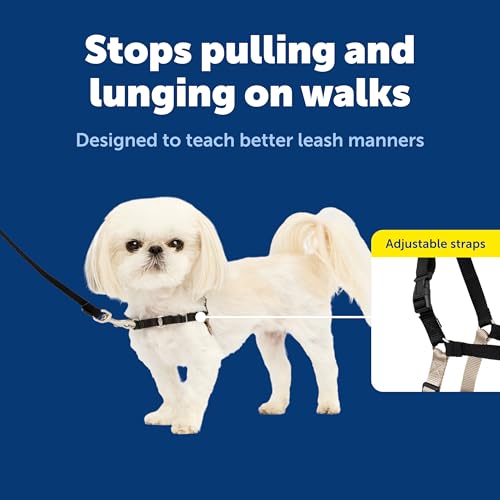 Easy Walk Harness (Petite / Black/Silver)