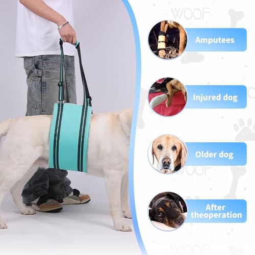 Adjustable Dog Sling Dog Lift Harness Hind Leg Support (Turquoise / S)
