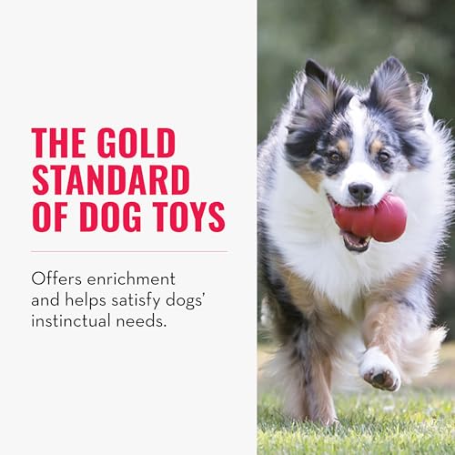 Classic Stuffable Dog Toy (X-Large (Pack of 1))