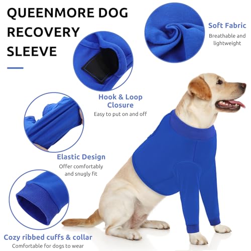 Large Recovery Suit for Dogs (XX-Large / Blue)