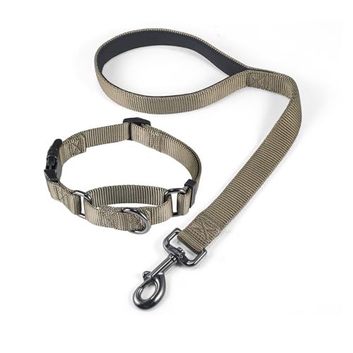Nylon 18 Inches Dog Short Leash with Anti (18" Leash and Martingale Collar Combo / Military Green)