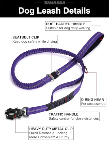 Heavy Duty Dog Leash (Blue)