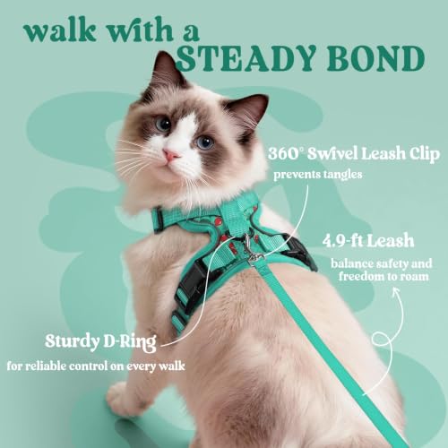 Cat Harness and Leash Set (M / Cherry Grove)