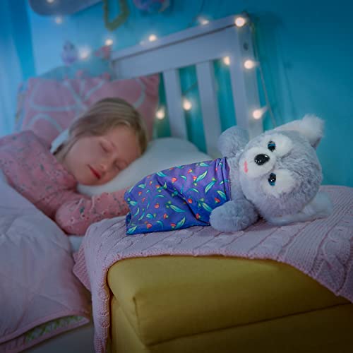 Cozy Dozy Kip The Koala Bear (Kip The Koala)