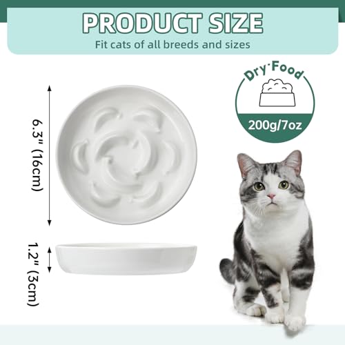 2 Pcs Ceramic Cat Slow Feeder Bowl Set (White and Blue)
