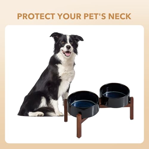 Elevated Dog Bowls (Double Bowls with Stand- Starry Sky / 5CUPS)