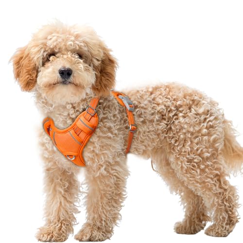 Dog Harness for Small Sized Dog No Pull Dog Vest ID Tag Pocket (Orange / X-Small)