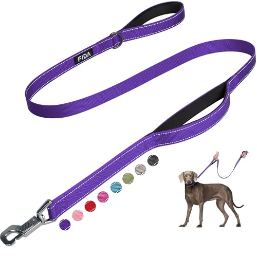 Heavy Duty Dog Leash for Medium Large Dogs (5 Feet (Pack of 1) / Purple)