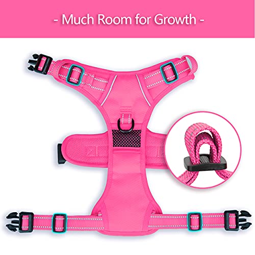 No Pull Dog Harness (XL / Pink(Matching Trim))