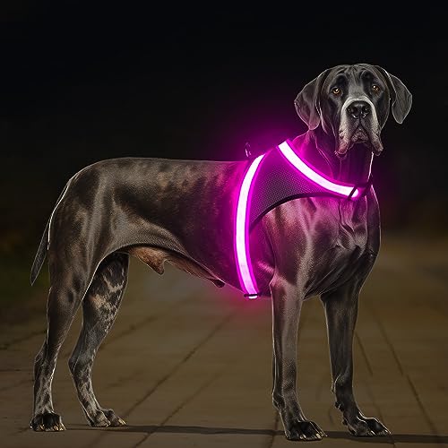Light Up Dog Harness (Large / Pink)