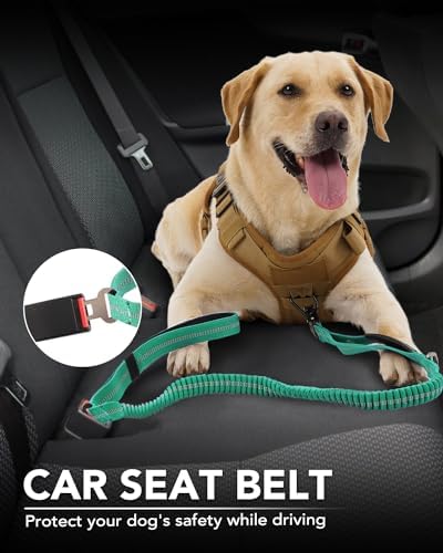 Tactical Bungee Dog Leash (Teal)