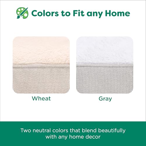 Orthopedic Dog Bed (Jumbo / Light Gray)