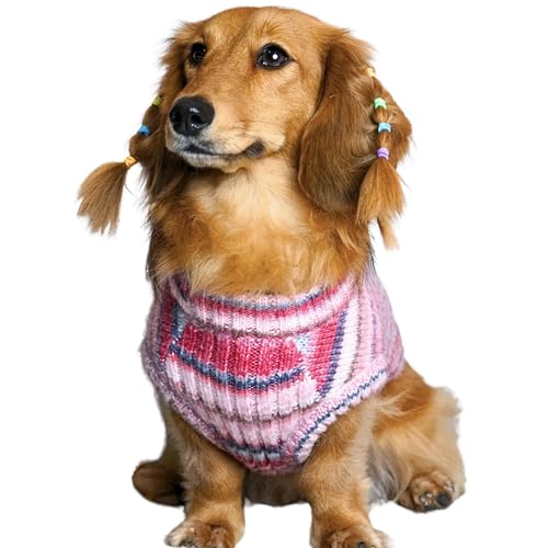 Dog Sweater Award (10 inch (Pack of 1) / Raspberry Blend)