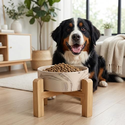 Elevated Ceramic Dog Bowl with Bamboo Stand (Marble Brown / 7.6Cup)