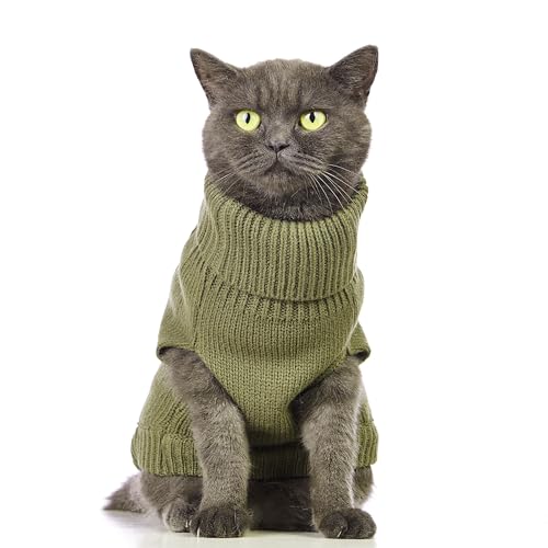 Cat Sweater Stretchy (Olive Green / Large)