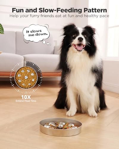 2 Pack Slow Feeder Dog Bowls (Large-2Pack)