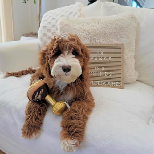 Espresso Muttini Plush Dog Toy (Espresso Muttini (Brown))