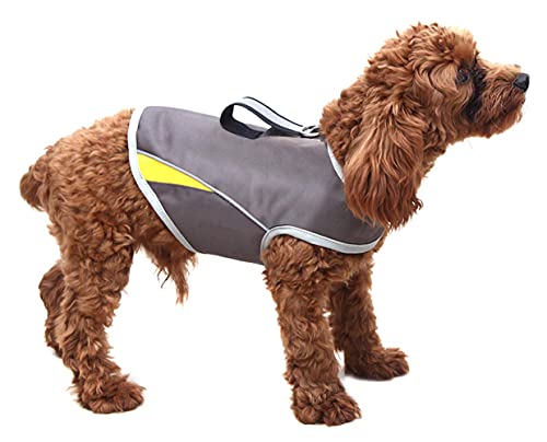 Dog Anxiety Jacket (Gery / Medium)