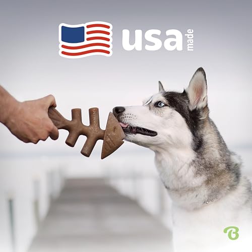 Fishbone Durable Dog Chew Toy for Aggressive Chewers (REAL Jack Salmon / Small)