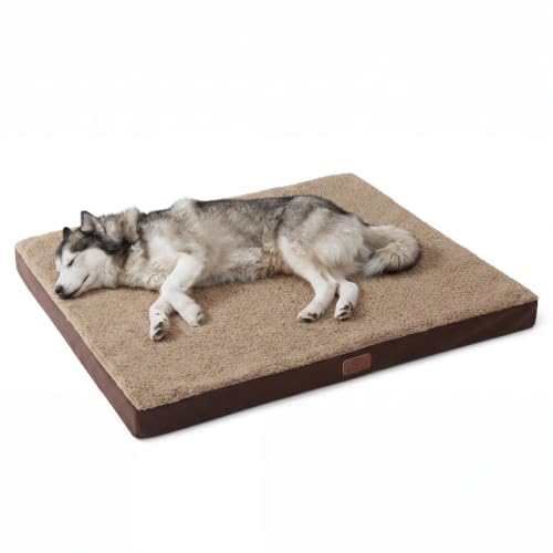 XXL Dog Bed Giant Pet Bed with Washable Cover (53"L x 36"W x 4"Th / Brown)