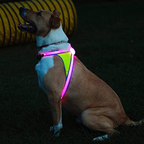 LightHound Light Up Reflective Dog Harness (Large)