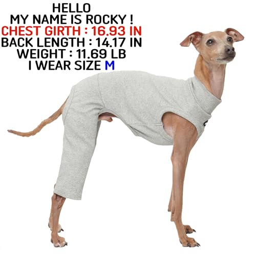 D Doggy Star Italian Greyhound Clothes High (2XL / COORDI GREY)