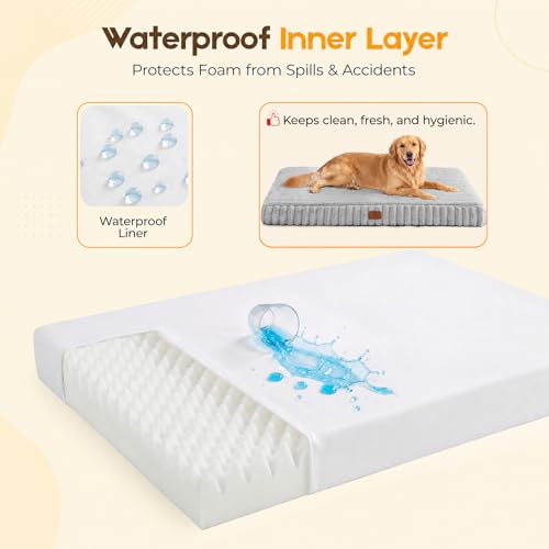 Orthopedic Dog Bed for XXL Dog (Grey / 47"x29"x4")