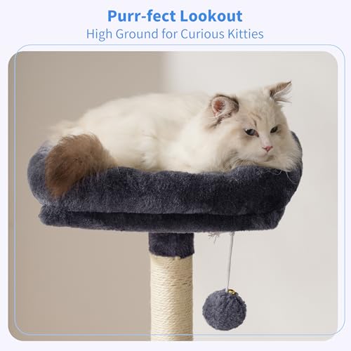 Cat Tree with Toy (49.2 inch / Smoky Gray)