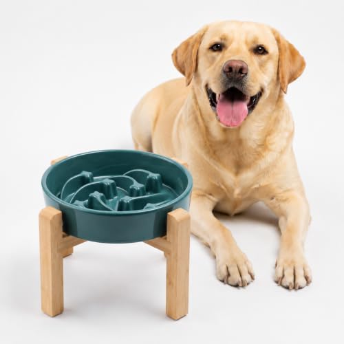 Ceramic Slow FeederDog Bowl for Medium Large Dogs (Stars mark-Forest Green / 8.66in)