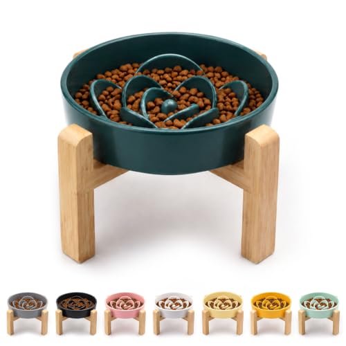 8.66 in Dog Bowl Ceramic Slow Feeder for Medium Large Dogs (Green / 8.66in)