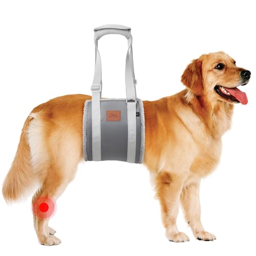 Adjustable Dog Sling for Large Dogs Hind Leg Support Weak Legs Mobility Aid (Grey & Grey / Large)