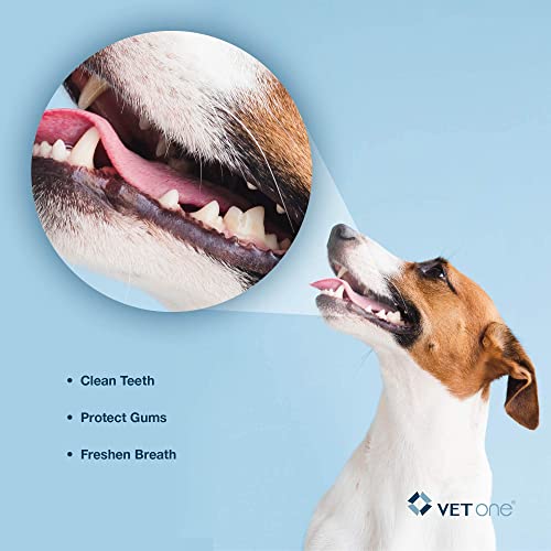 VetOne DuoClenz Rawhide Dental Hygenic Chews for Medium (Medium Dogs)